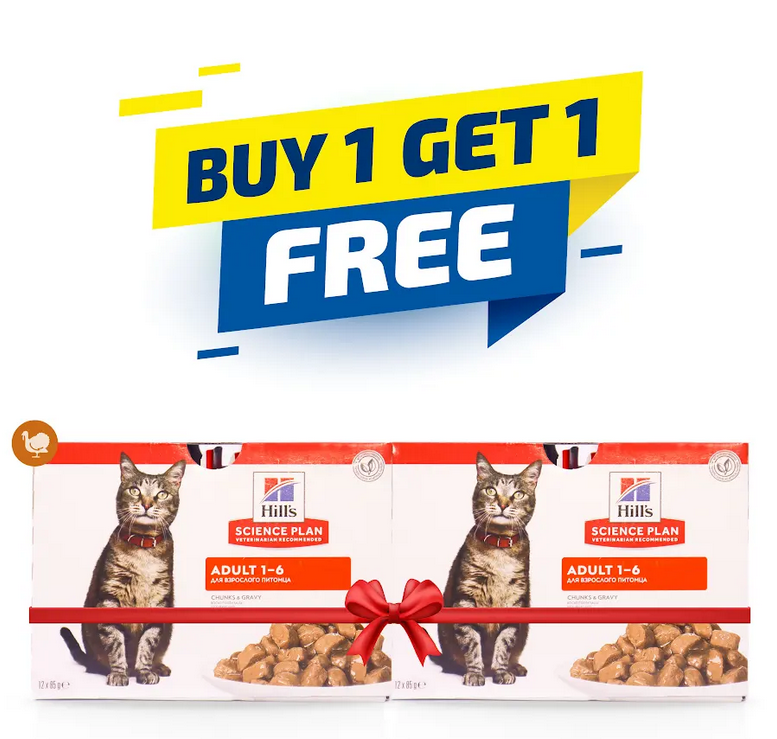 Hill's Science Plan Adult Wet Cat Food Turkey Pouches 85gx12